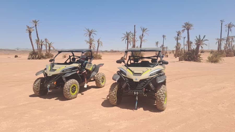 Marrakech: Tour Buggy 1000cc In Palm Oasis and Jbilat Desert - Driving a 1000cc buggy through rocky tracks