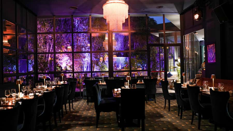 Marrakech: Vibrant Dinner Show at The Lotus Club - The Lotus Club setting in Hivernage