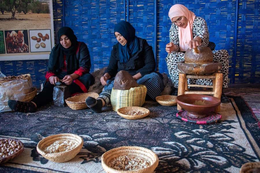 Marrakech: Waterfall, Valley, Atlas Mountain, Camel & Desert - Argan oil, mint tea, and the women’s cooperative