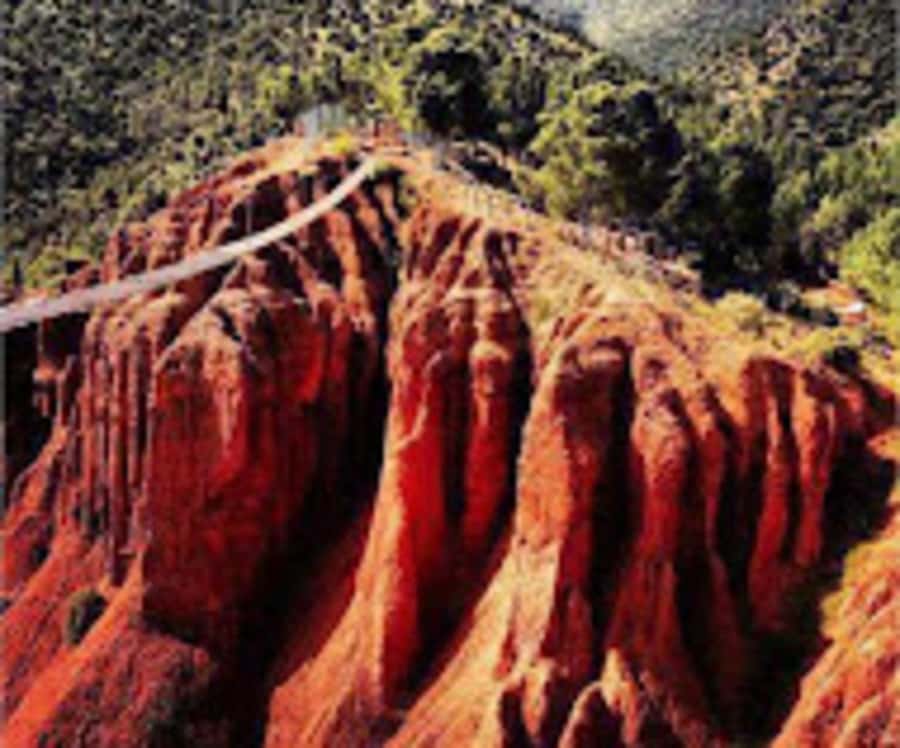 Marrakech: Zip-Line in the Atlas Mountains & Berber villages - Four zip lines above the pine forest