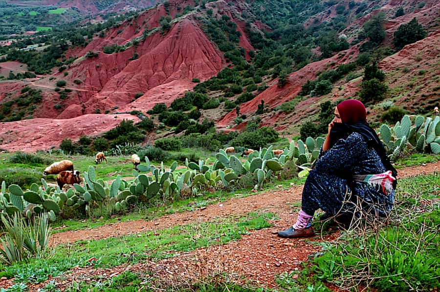 Marrakech: Zipline and Breakfast in the Atlas Mountains - The ride itself: speed, bridges, and big views