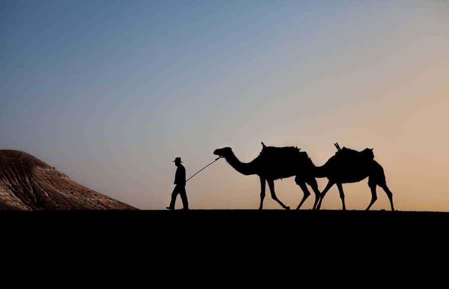 Marrakesh: Agafay Desert Quad & Camel Tour with Dinner - Key points before you book