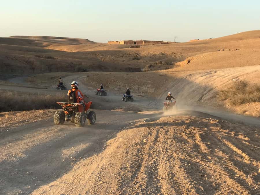 Marrakesh: Agafay Desert Quad & Camel Tour with Dinner - Who will enjoy this five-hour outing