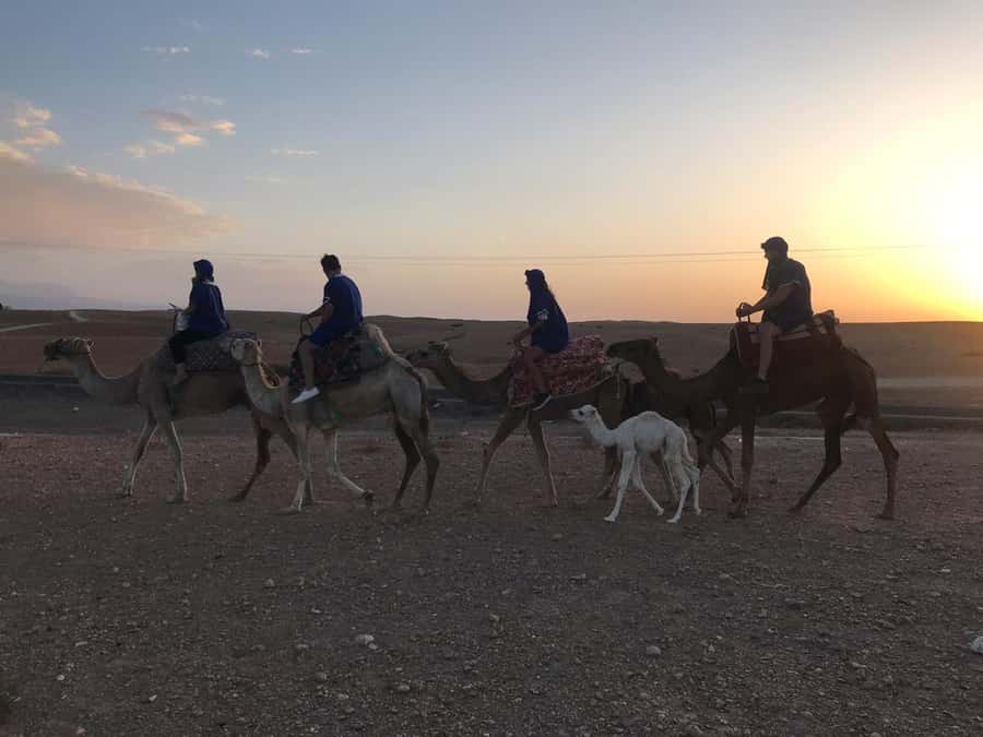 Marrakesh: Agafay Desert Quad & Camel Tour with Dinner - Tea, viewpoints, and the changing desert light