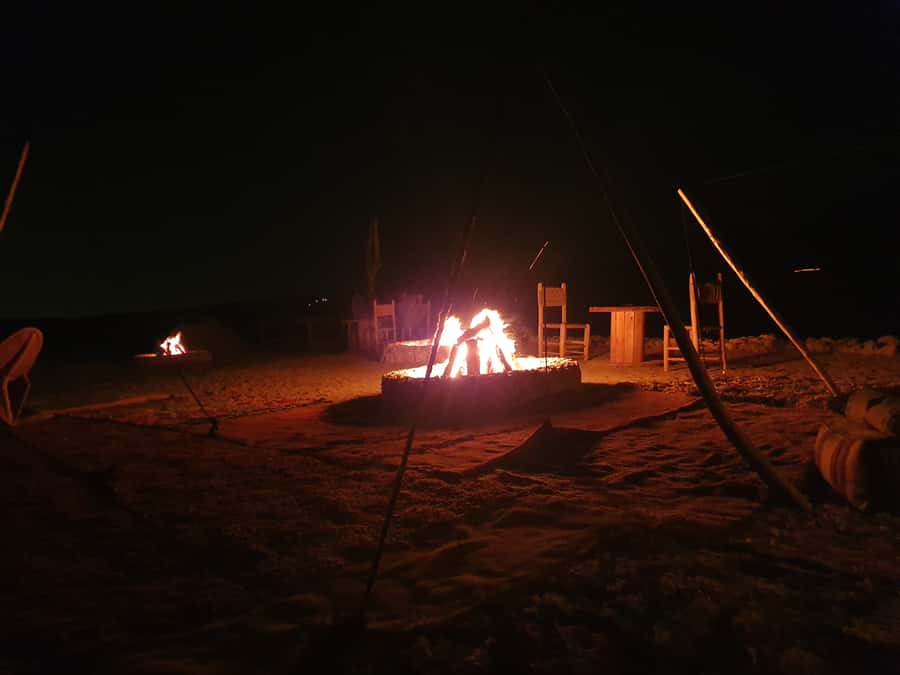 Marrakesh: Agafay Desert Quad & Camel Tour with Dinner - The $81 price and what you receive