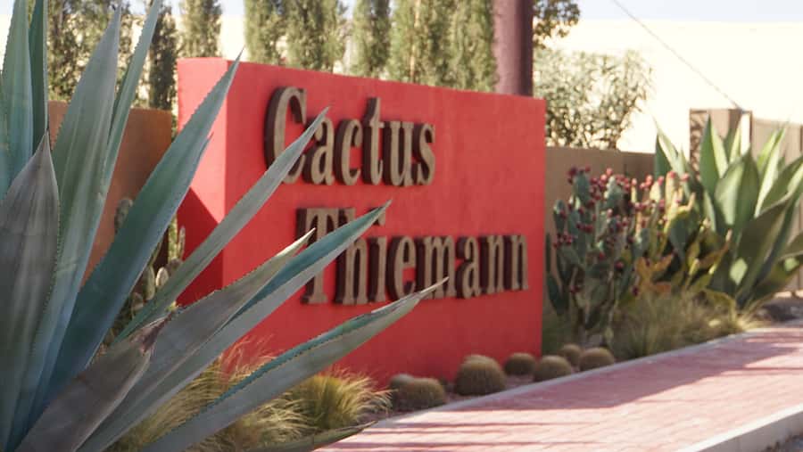Marrakesh: Cactus Thiemann Entry Ticket - How the $14 price measures up