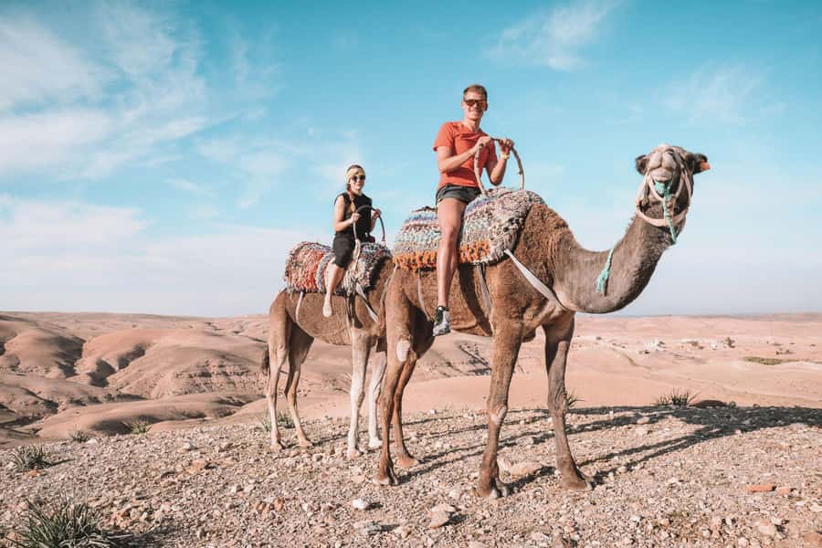 Marrakesh: Desert & Mountain Tour with Camel Ride & Lunch - Why this day trip earns its $22 price