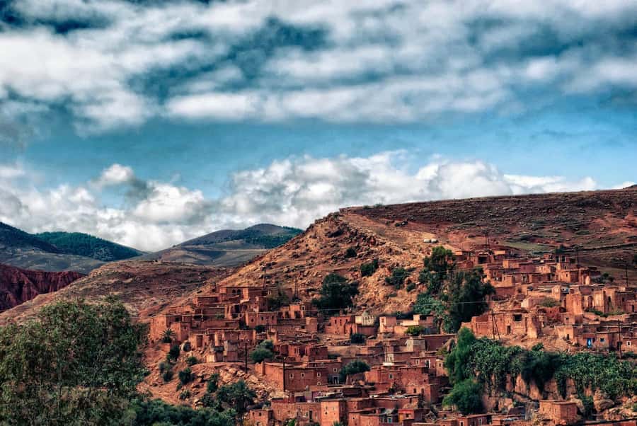 Marrakesh: Desert & Mountain Tour with Camel Ride & Lunch - The guides are a major part of the experience