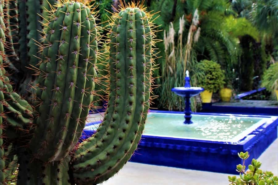Marrakesh: Majorelle Garden Entry Tickets - Who will enjoy this experience most?