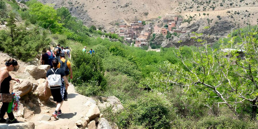 Marrakesh: Ourika Valley & Atlas Mountains Day Trip + Lunch - Skipping the hike without missing the day