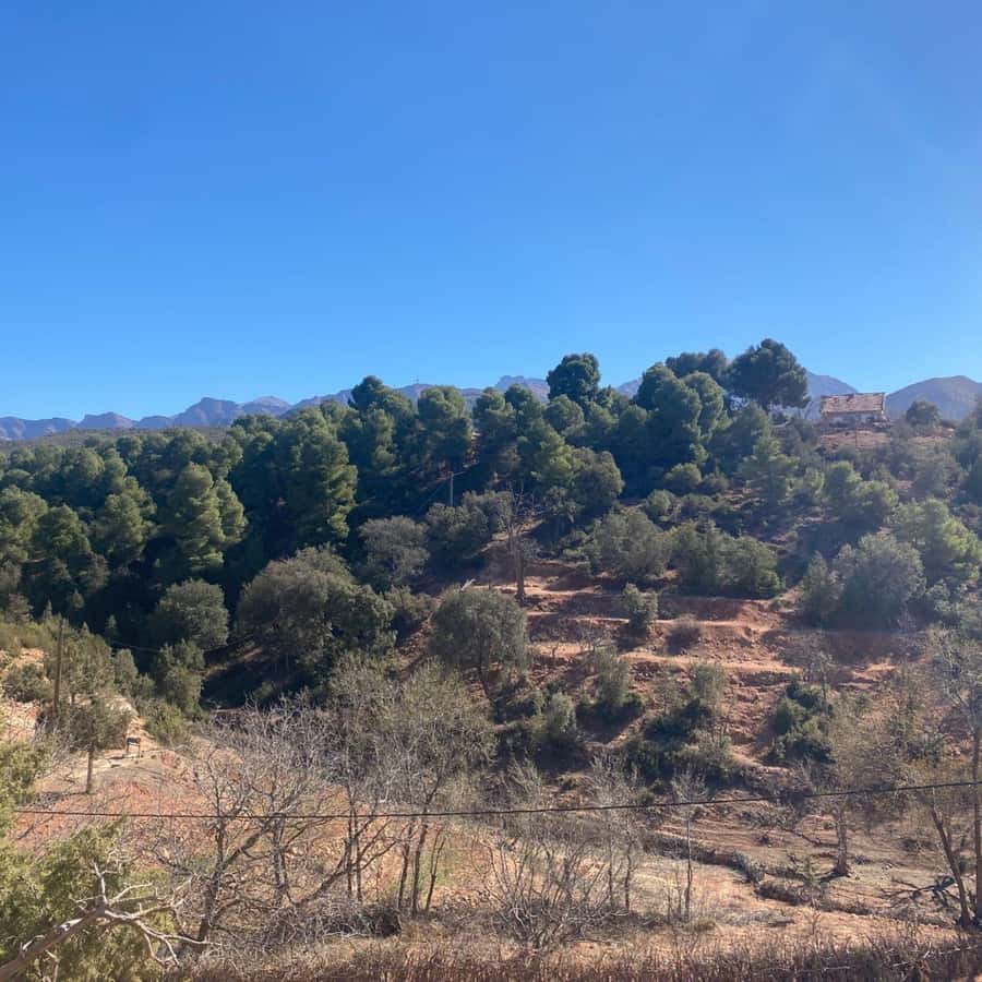 Marrakesh: Ourika Valley Tour & Secret Berber Lunch + Guide - What to expect from the guide