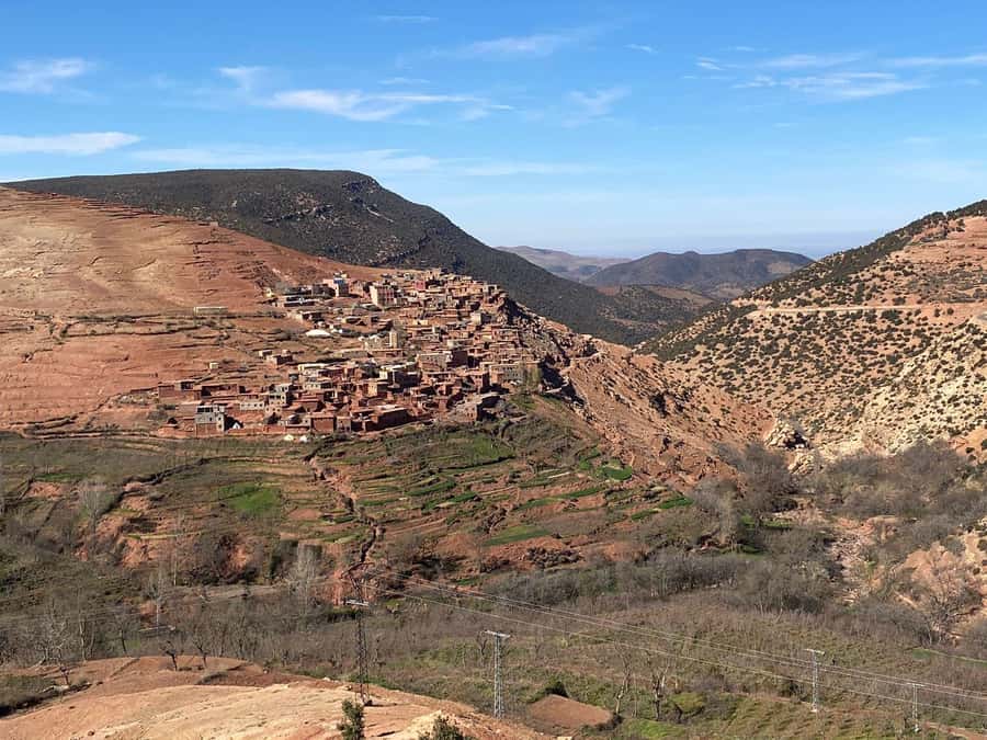 Marrakesh: Ourika Valley Tour & Secret Berber Lunch + Guide - The Argan oil cooperative and what it adds