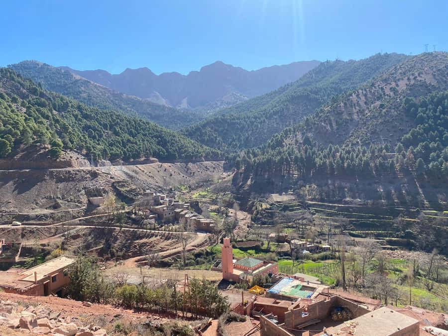 Marrakesh: Ourika Valley Tour & Secret Berber Lunch + Guide - How the price compares with the experience