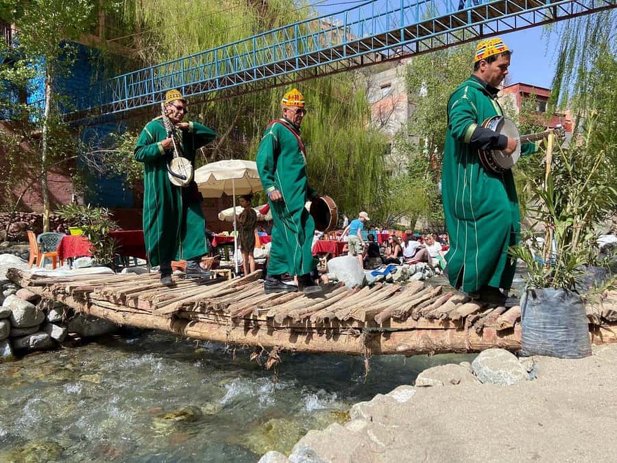 Marrakesh: Ourika Waterfalls, Atlas Mountains, Lunch + Guide - Who will enjoy this day most