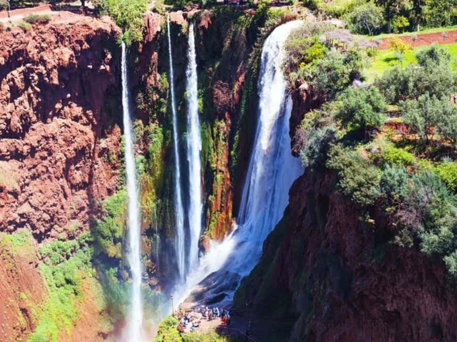 Marrakesh: Ouzoud Waterfalls Trip with Hike & Boat Option - The guided walk and what you learn