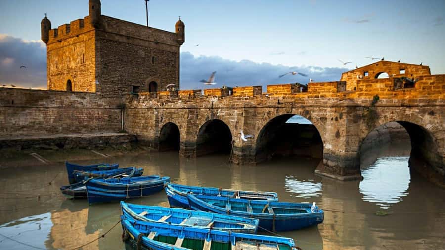 Marrakesh to Essaouira: Small-Group Day Trip & Cooperatives - Key points at a glance