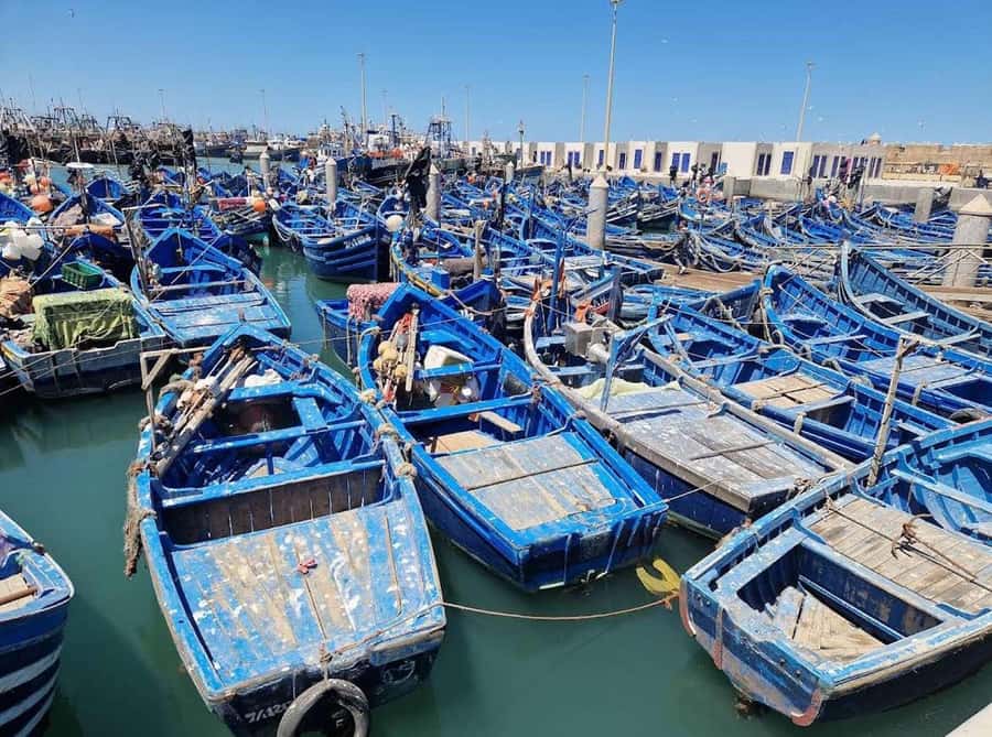 Marrakesh to Essaouira: Small-Group Day Trip & Cooperatives - The argan oil cooperative stop
