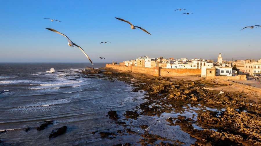 Marrakesh to Essaouira: Small-Group Day Trip & Cooperatives - Arriving in Essaouira around 11:30 a.m.