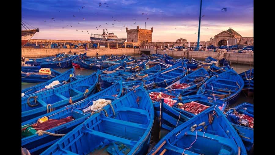 Marrakesh to Essaouira: Small-Group Day Trip & Cooperatives - The harbor, seafood, and Atlantic air