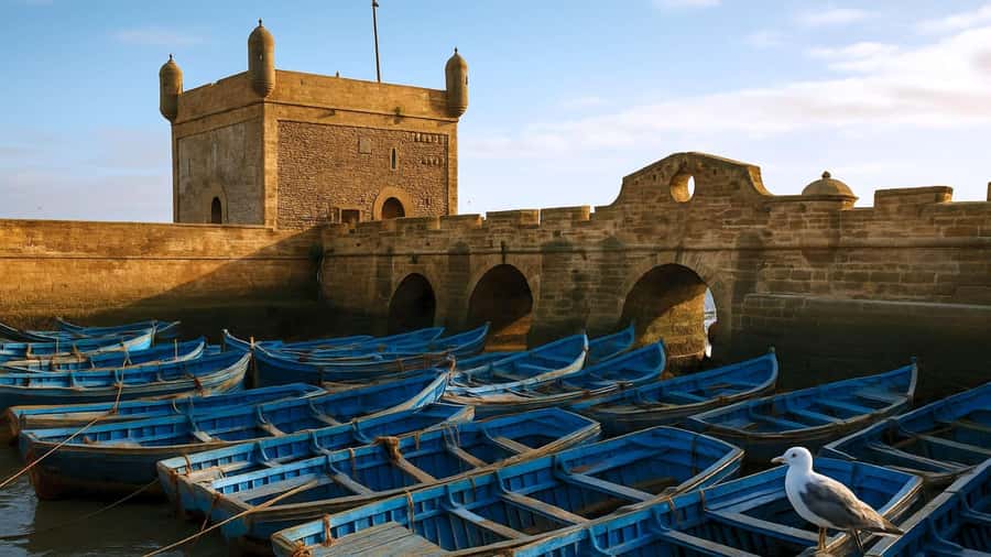 Marrakesh to Essaouira: Small-Group Day Trip & Cooperatives - Four hours of free time: enough or not enough?