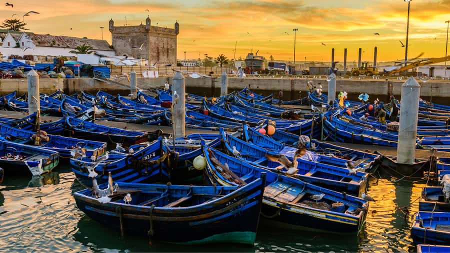 Marrakesh to Essaouira: Small-Group Day Trip & Cooperatives - The 8:00 a.m. pickup and the long road west