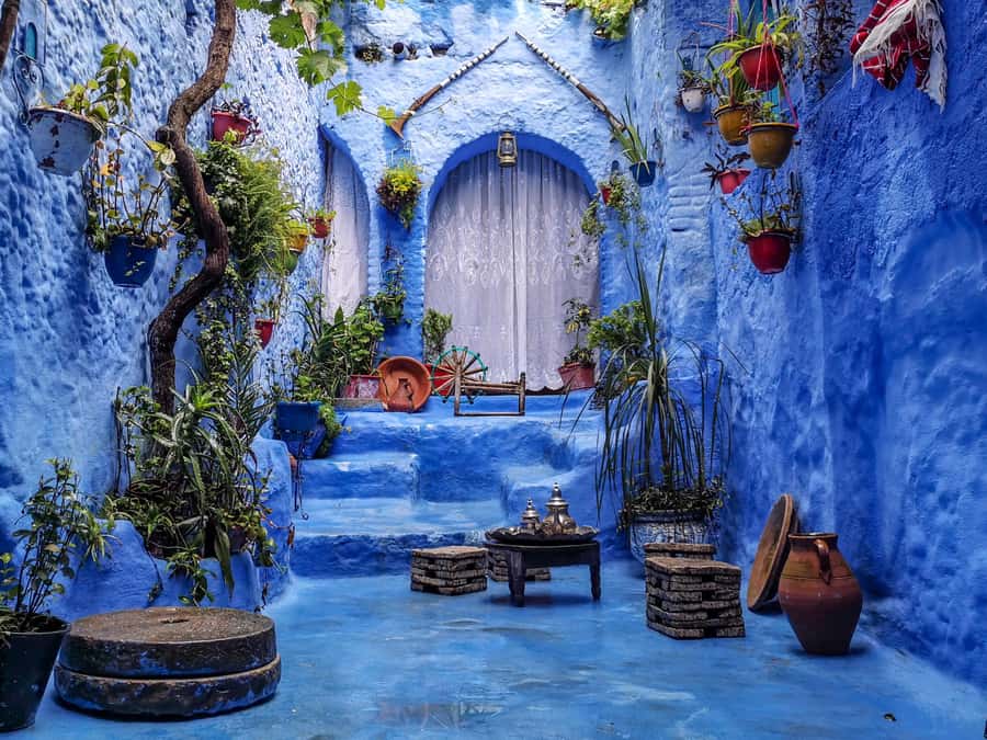 Memorable Day Trip From Fez to Chefchaouen the Blue City - The 8 a.m. pickup in Fez