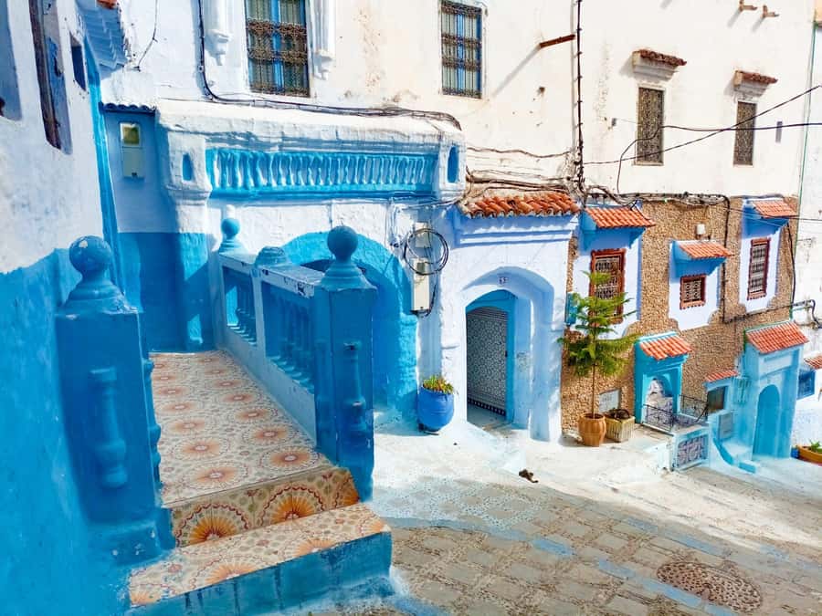 Memorable Day Trip From Fez to Chefchaouen the Blue City - What the $26 price really buys