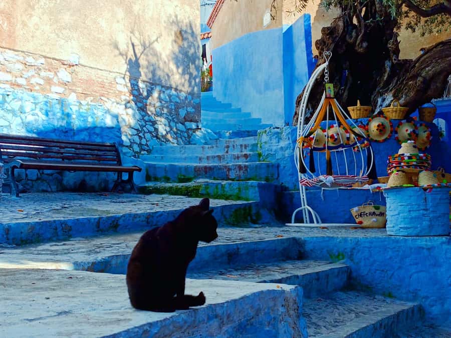 Memorable Day Trip From Fez to Chefchaouen the Blue City - The road from Fez to the Rif Mountains