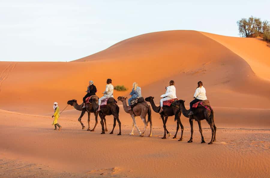 Merzouga: 1-Night in Desert Camp With Dinner & camel ride - Sunrise, Breakfast, and the Ride Back