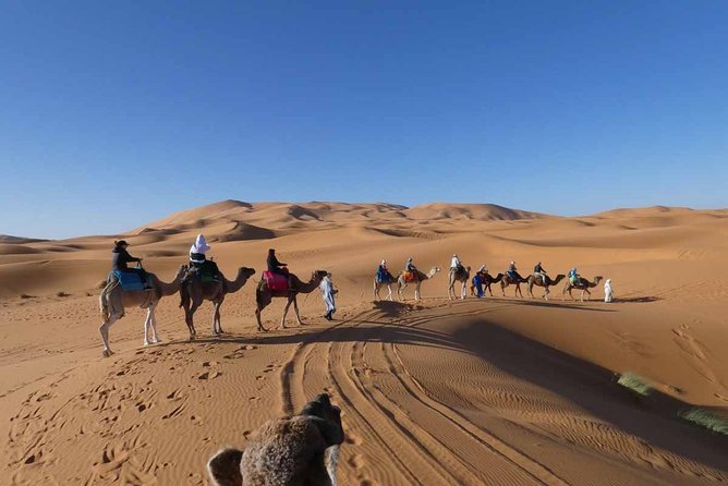 Merzouga 3-Days Desert Tour from Marrakech - Dades Gorge and the first night in Boumalne du Dades
