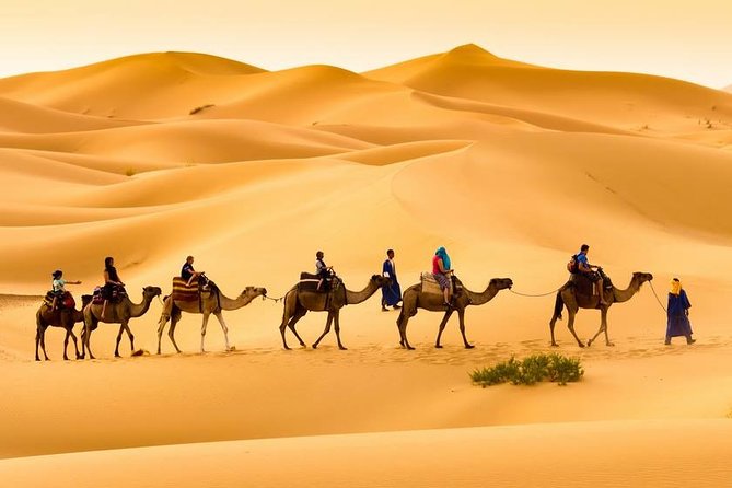 Merzouga 3-Days Desert Tour from Marrakech - The 1,000 Kasbahs road and Todra Gorge