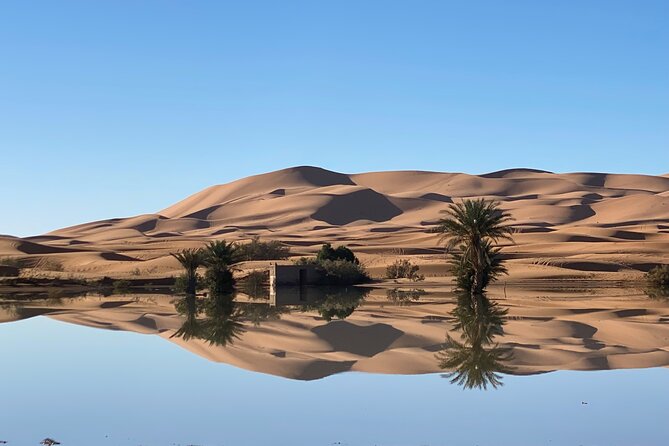Merzouga Jeep 4WD Desert Tour: Sahara Adventure - Hassilabied oasis: water in a dry place
