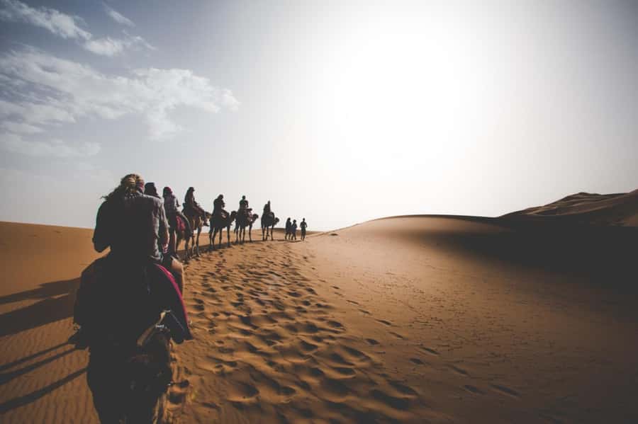 Merzouga Overnight Stay in a Berber Tent and Camel Ride - Sunrise, breakfast, and the return to your vehicle
