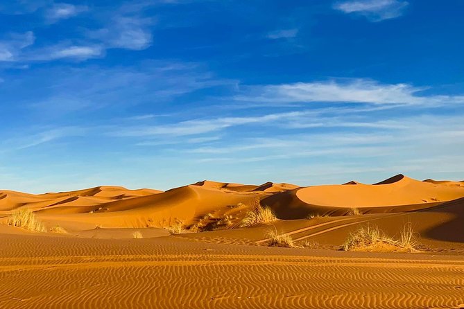 Moroccan Desert 3-Day Luxury Tour from Marrakech - What the $450 price buys you