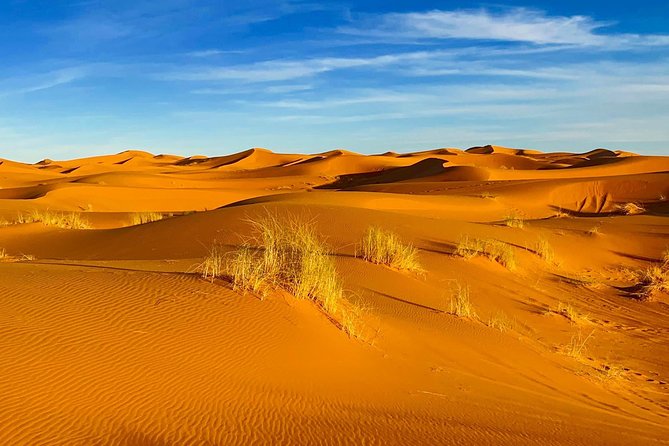 Moroccan Desert 3-Day Luxury Tour from Marrakech - Day three: the long return to Marrakech
