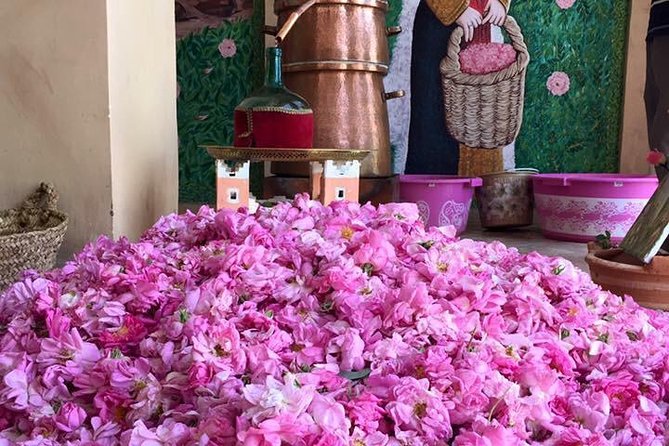 Morocco 11 Days Tour from Casablanca via Sahara Desert - What the $2,253.22 price really covers