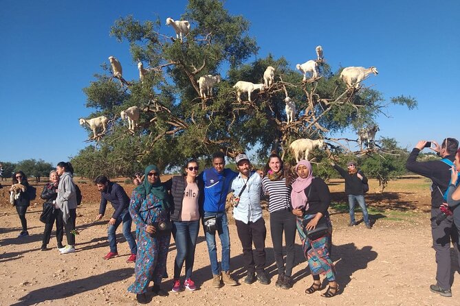 Morocco 11 Days Tour from Casablanca via Sahara Desert - Across the Middle Atlas to Merzouga