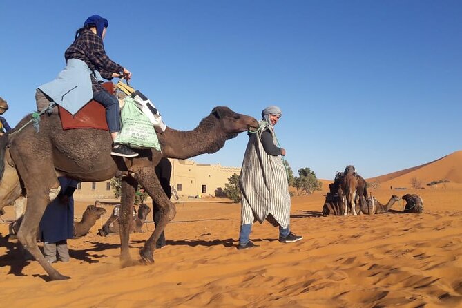Morocco 12 Days Tour from Casablanca - Fez needs a full day, and gets one
