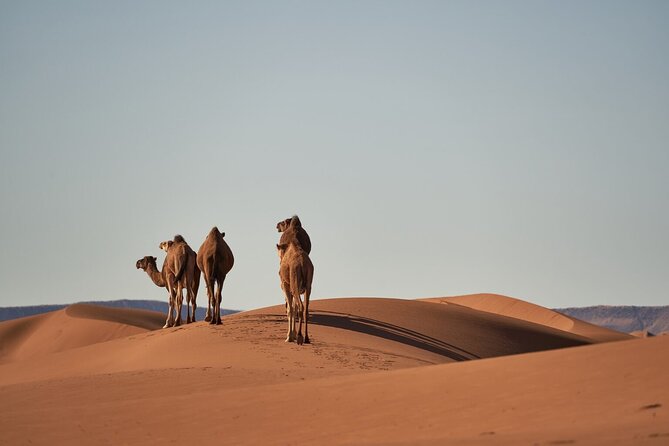 Morocco 8-Night Tour: Chefchaouen, Desert & Hot Air Balloon - The best parts of the route at a glance