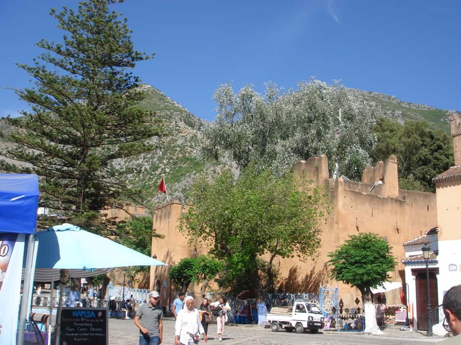 Morocco Day Trip with Tour Guide and Lunch from Algeciras - What this day trip really offers