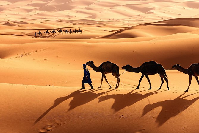 Morocco Top Trips: Luxury 10-Day Private Tour in Morocco - Roman Volubilis and Meknes lead into Fes