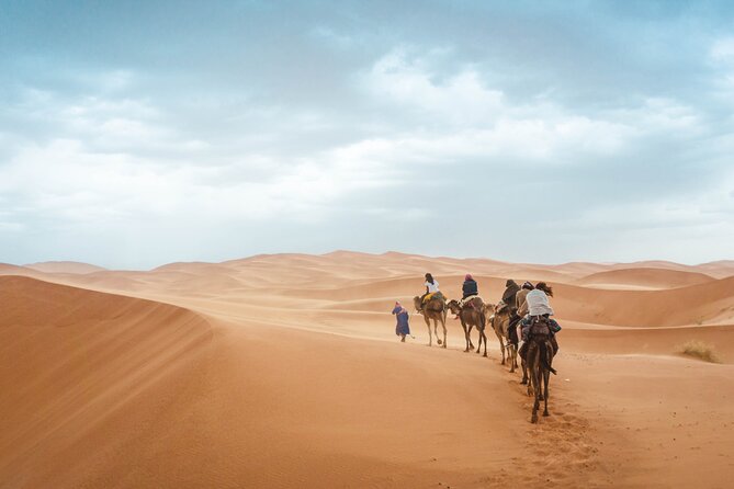 Morocco tour start from Casablanca 8 days - Day 1: Casablanca arrival and a gentle start