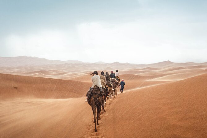 Morocco tour start from Casablanca 8 days - Day 4: Roman mosaics and Meknes’s imperial gate