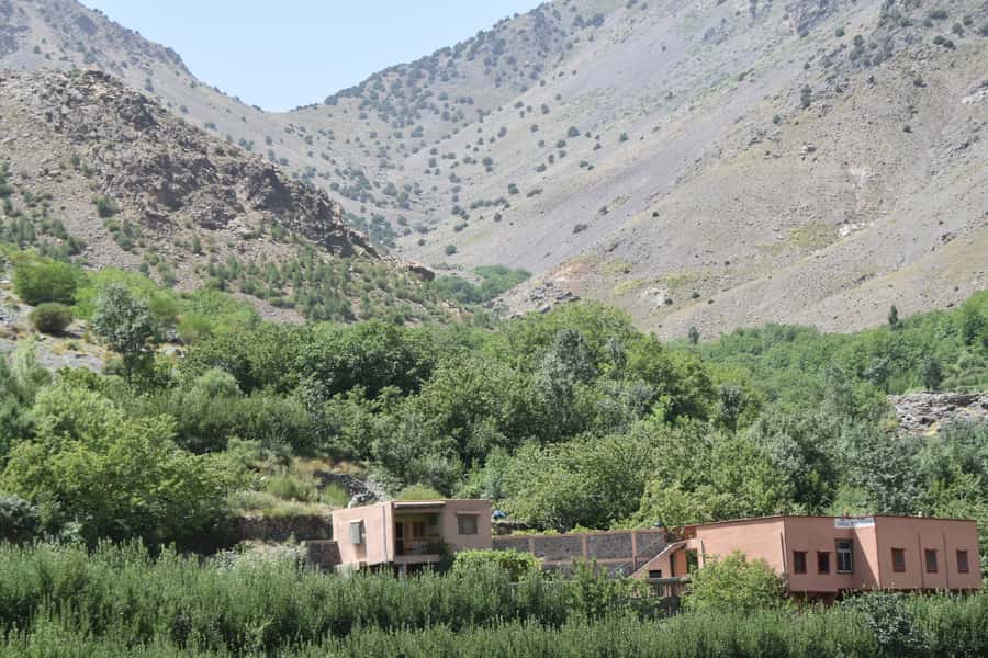 Mount Toubkal Trek 2 Days & 1 Night - Day two: an early push to Mount Toubkal’s summit
