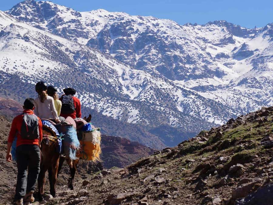 Mount Toubkal Trek 2 Days & 1 Night - Who should book this two-day ascent?
