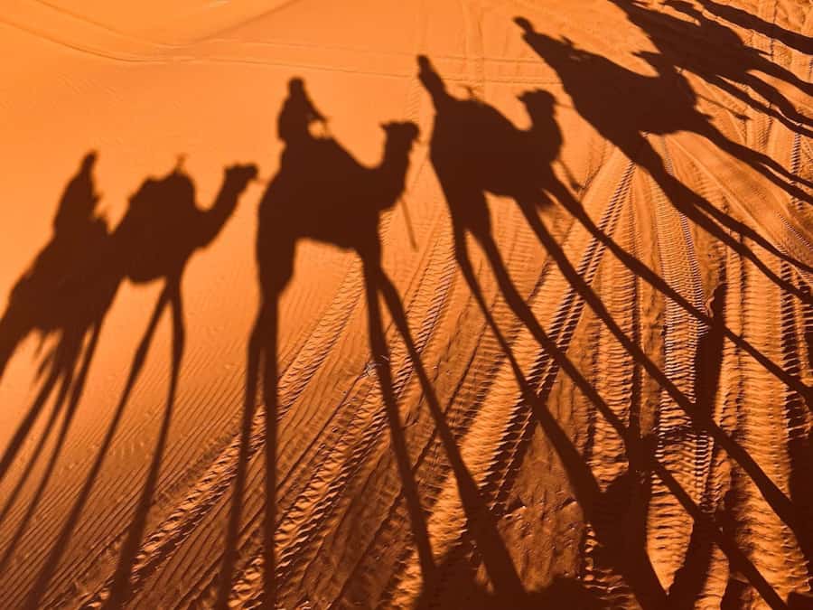 Ouarzazate to Marrakech: 3-Day Desert Tour with Camel Trek - Is camel trekking right for you?