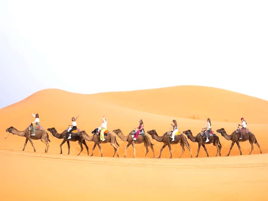Ouarzazate to Marrakech: 3-Day Desert Tour with Camel Trek - Day 1: Ait Ben Haddou and the Road of a Thousand Kasbahs