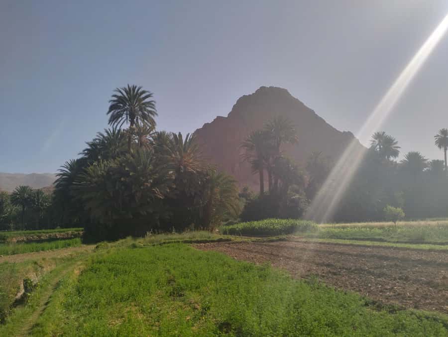 Ouarzazate to Marrakech: 3-Days Merzouga Desert Tour - Should you book the Merzouga route?