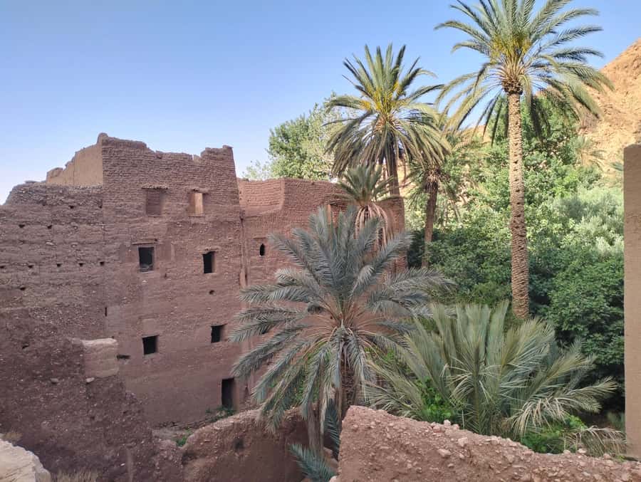 Ouarzazate to Marrakech: 3-Days Merzouga Desert Tour - Day 3: Sunrise, camel tracks, and the road to Marrakech