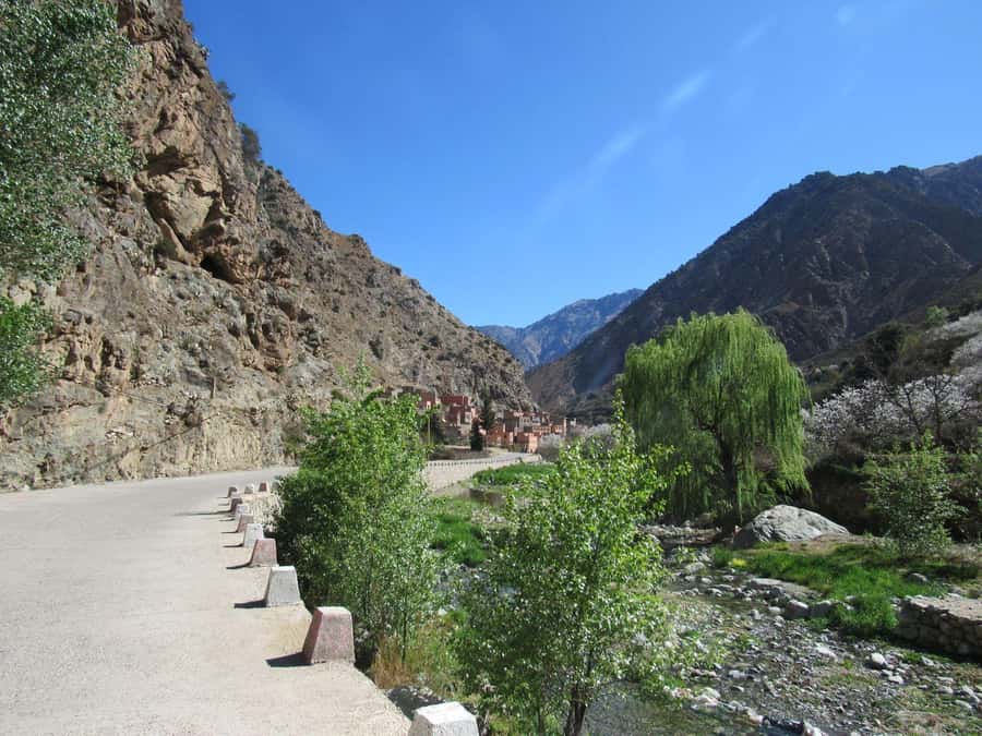 Ourika valley & atlas mountains guided tour from Marrakech - What happens at the women’s argan oil cooperative